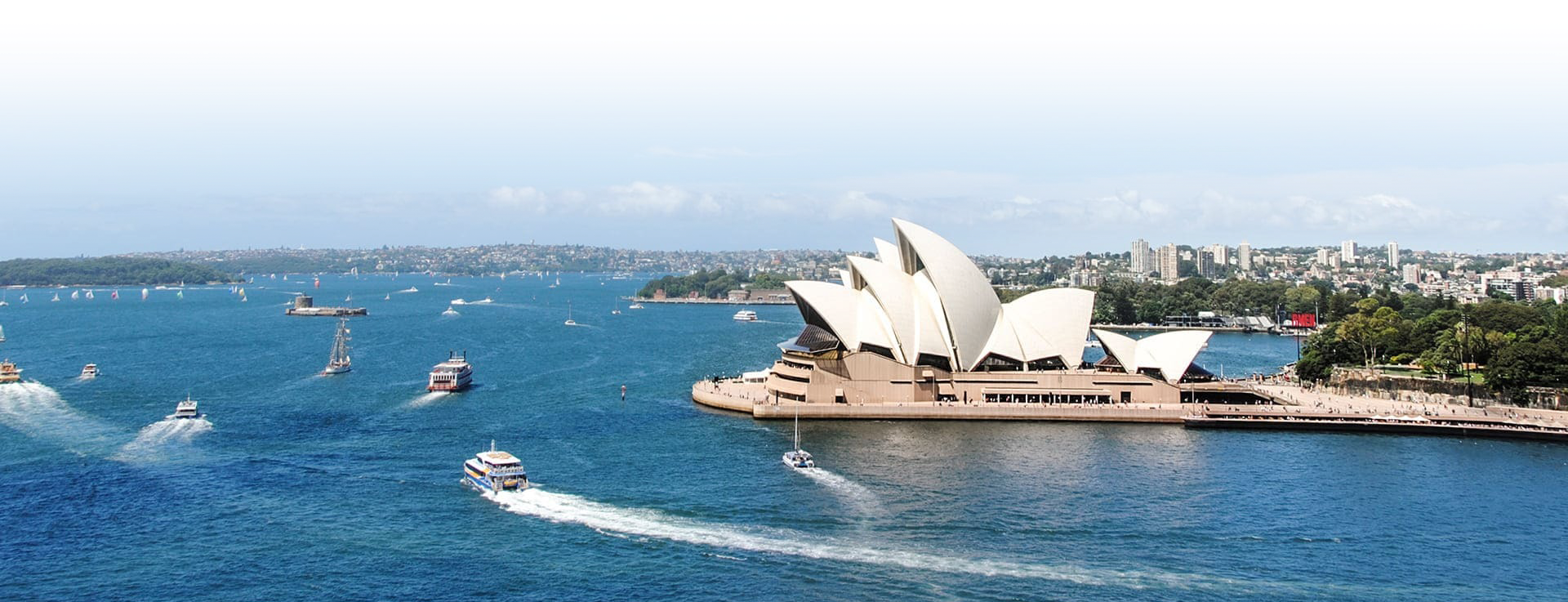 transparent-bg2-navigatiovisto